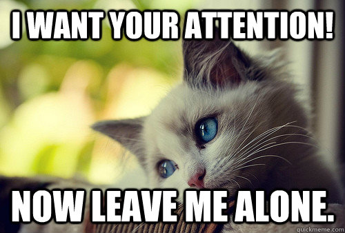 I want your attention! Now leave me alone.  First World Problems Cat