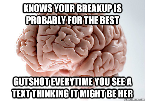 Knows your breakup is probably for the best gutshot everytime you see a text thinking it might be her  Scumbag Brain