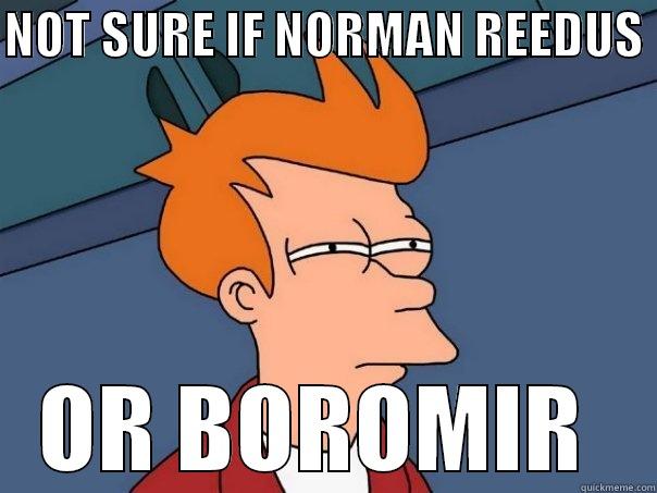 NOT SURE IF NORMAN REEDUS  OR BOROMIR  Futurama Fry