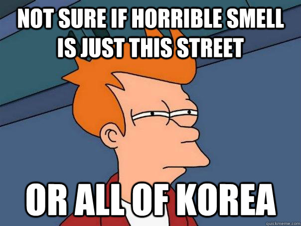 Not sure if horrible smell is just this street Or all of Korea - Not sure if horrible smell is just this street Or all of Korea  Futurama Fry