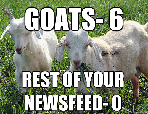 goats- 6 rest of your newsfeed- 0  