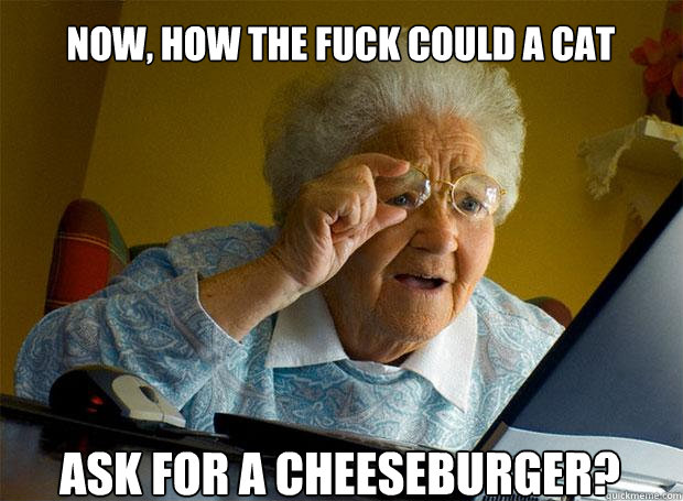 NOW, HOW THE FUCK COULD A CAT  
ASK FOR A CHEESEBURGER?    Grandma finds the Internet