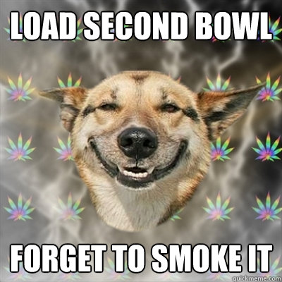 Load second bowl forget to smoke it  Stoner Dog