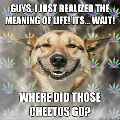 Guys, i just realized the meaning of life! its... wait! where did those cheetos go?  Stoner Dog