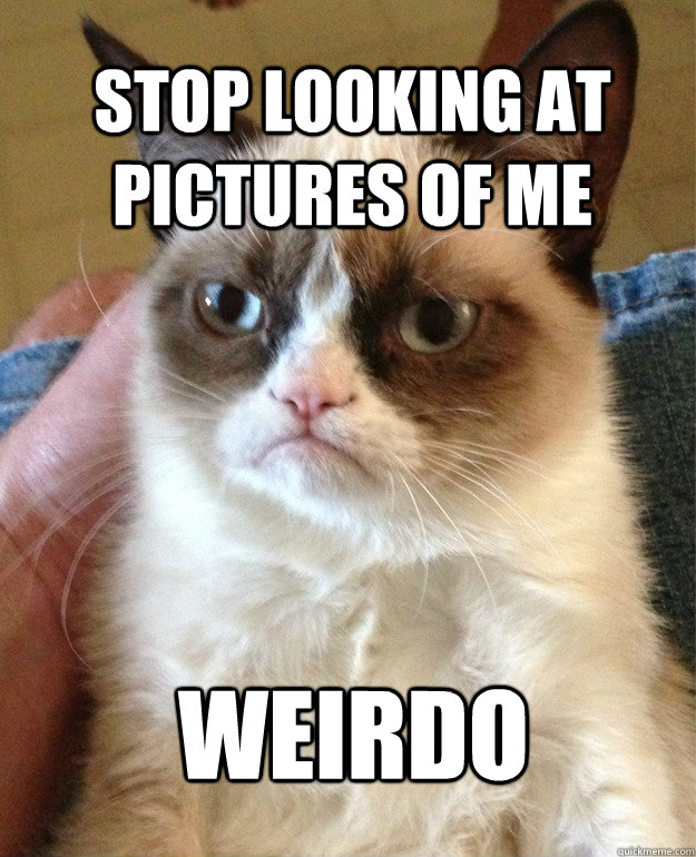 Stop looking at pictures of me weirdo  Grumpy Cat