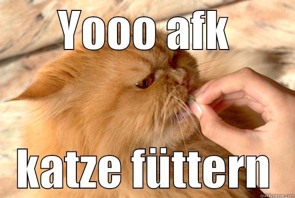 YOOO AFK KATZE FÜTTERN Misc