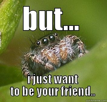 BUT... I JUST WANT TO BE YOUR FRIEND.. Misunderstood Spider