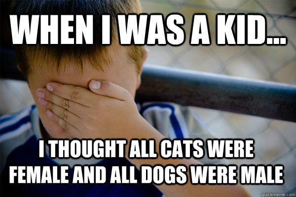 When i was a kid... i thought all cats were female and all dogs were male  Confession kid