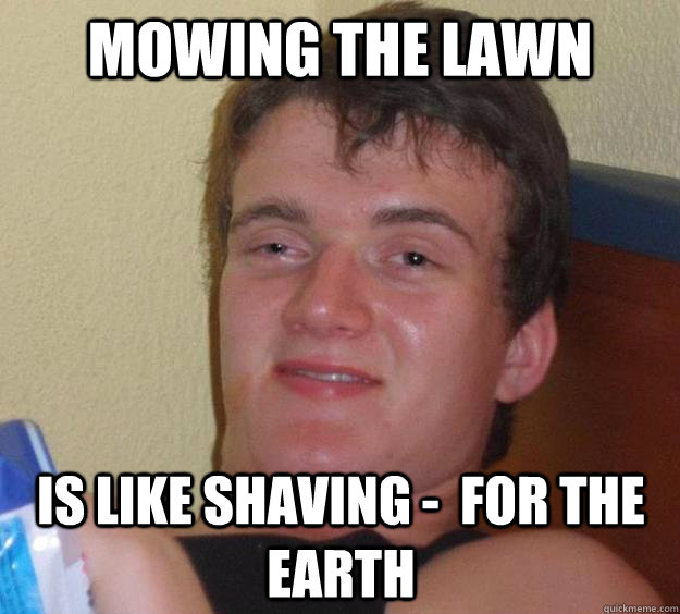 Mowing the lawn is like shaving -  for the earth  10 Guy