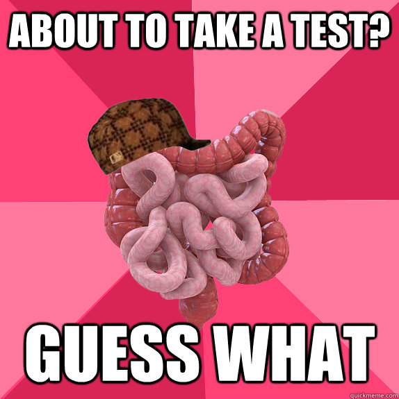 About to take a test? Guess what  Scumbag Intestines