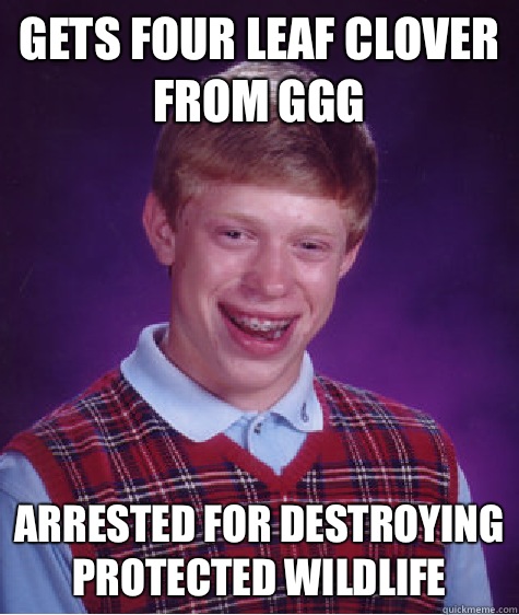 Gets four leaf clover from GGG Arrested for destroying protected wildlife  Bad Luck Brian