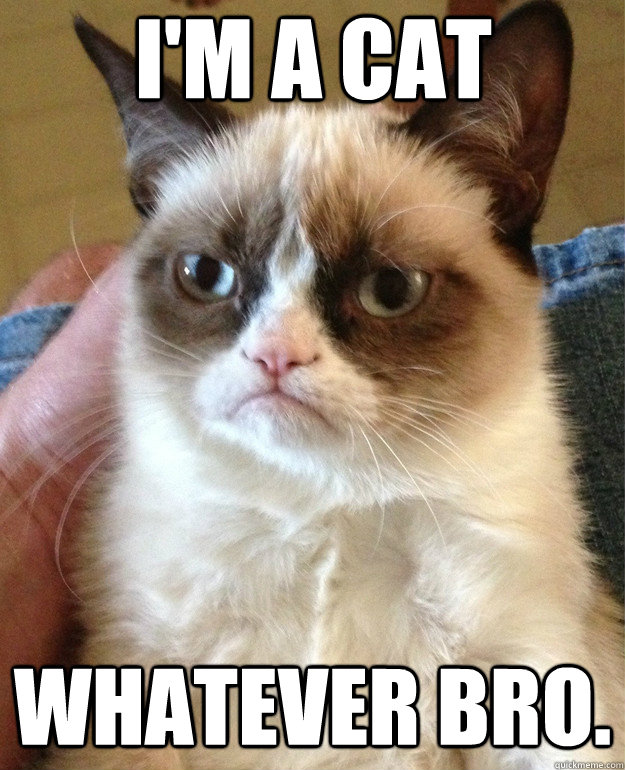 I'm a cat Whatever bro. - I'm a cat Whatever bro.  Grumpy Cat