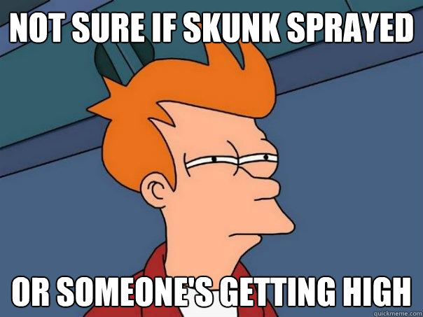 NOT SURE IF SKUNK SPRAYED OR SOMEONE'S GETTING HIGH  Futurama Fry