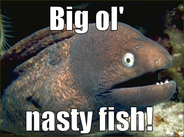 BIG OL'  NASTY FISH! Bad Joke Eel