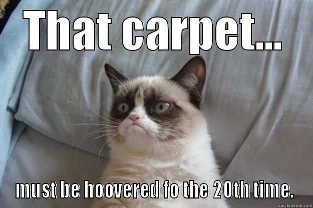 OCD Simon hates a messy carpet. - THAT CARPET... MUST BE HOOVERED FO THE 20TH TIME. Grumpy Cat