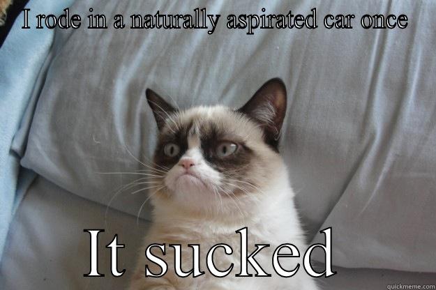 I RODE IN A NATURALLY ASPIRATED CAR ONCE IT SUCKED Grumpy Cat