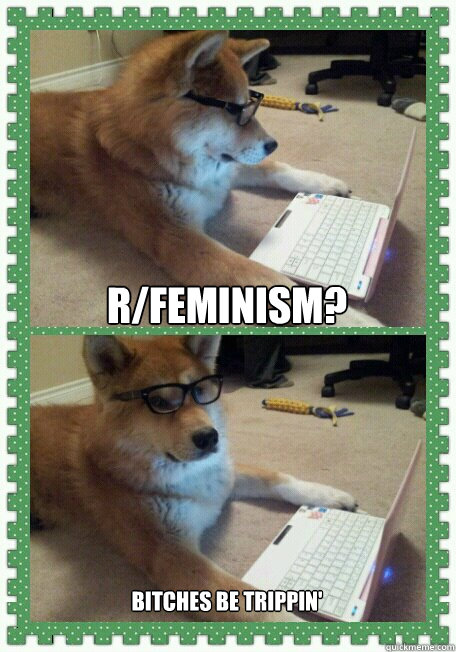 r/feminism? bitches be trippin'  hello