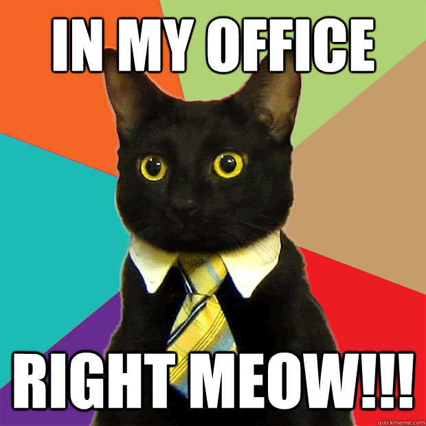 In my office right meow!!!  Business Cat