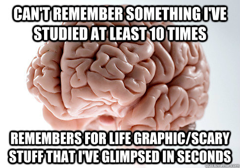 can't remember something i've studied at least 10 times remembers for life graphic/scary stuff that i've glimpsed in seconds  Scumbag Brain