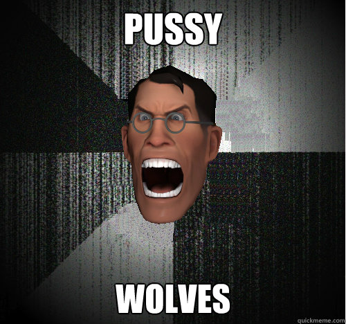 PUSSY WOLVES  