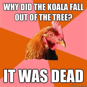 WHY DID THE KOALA FALL OUT OF THE TREE? IT WAS DEAD  Anti-Joke Chicken