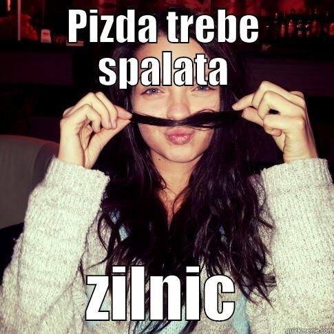 PIZDA TREBE SPALATA ZILNIC Misc