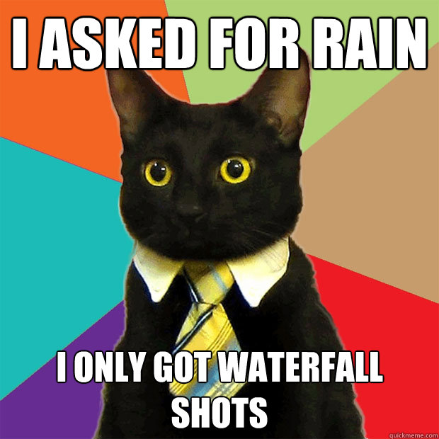 I asked for rain i only got waterfall shots  Business Cat