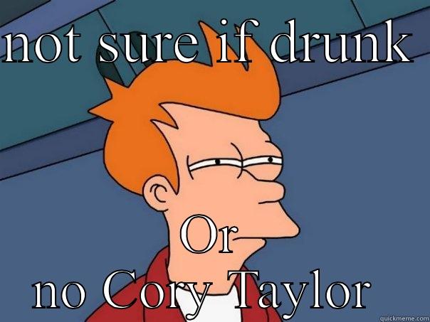 NOT SURE IF DRUNK  OR NO CORY TAYLOR  Futurama Fry