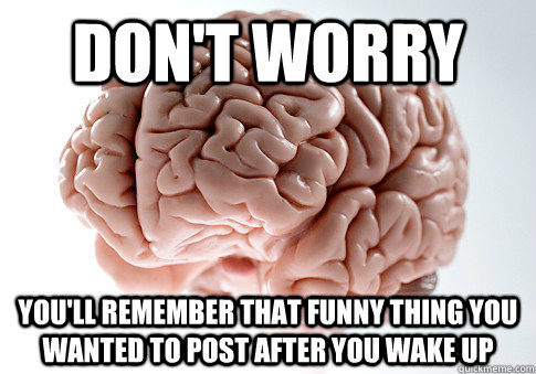 Don't Worry You'll remember that funny thing you wanted to post after you wake up  Scumbag Brain