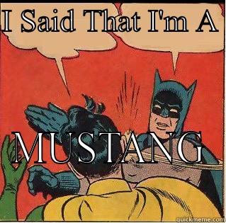 I SAID THAT I'M A  MUSTANG Slappin Batman