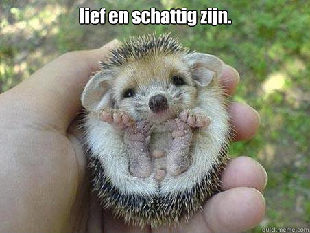 lief en schattig zijn.  Egel