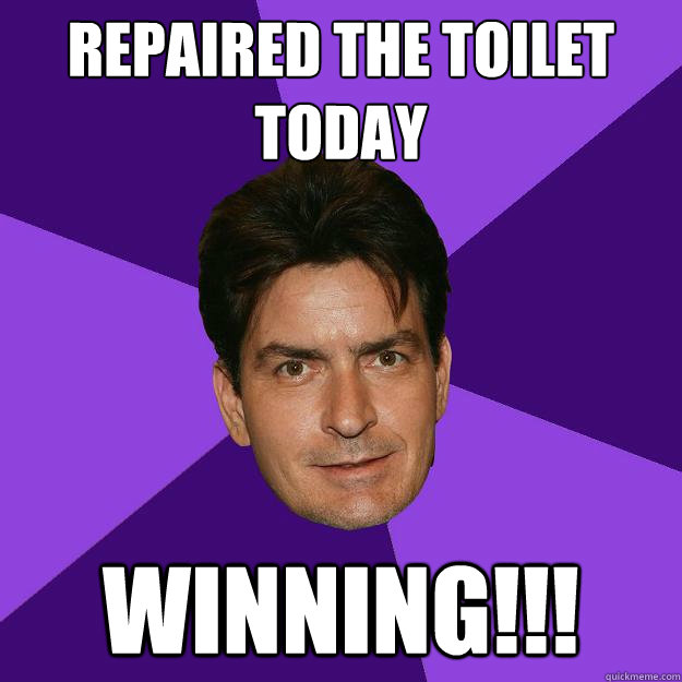 Repaired the toilet today winning!!!  Clean Sheen