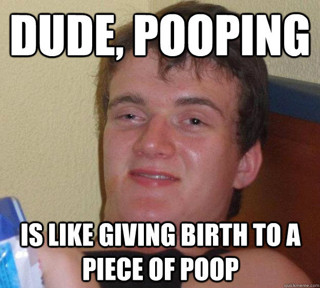 Dude, pooping is like giving birth to a piece of poop  10 Guy