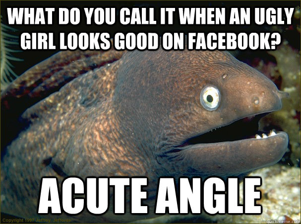 What do you call it when an ugly girl looks good on facebook? acute angle  Bad Joke Eel