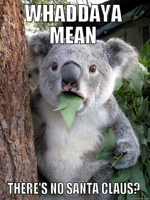 WHADDAYA MEAN THERE'S NO SANTA CLAUS? koala bear