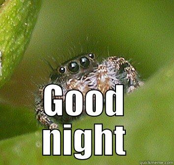  GOOD NIGHT Misunderstood Spider