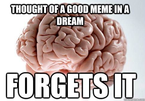 Thought of a good meme in a dream forgets it   Scumbag Brain