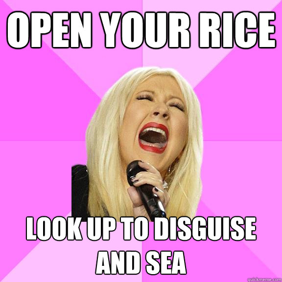 OPEN YOUR RICE LOOK UP TO DISGUISE AND SEA  Wrong Lyrics Christina