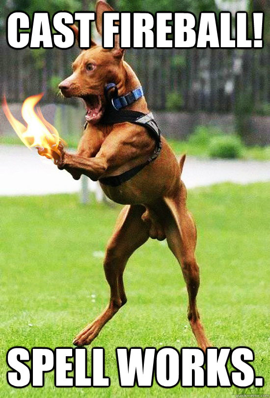 Cast Fireball! Spell Works. - Cast Fireball! Spell Works.  Mage Dog