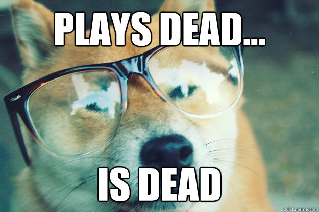 Plays Dead... Is Dead - Plays Dead... Is Dead  Grandpa dog