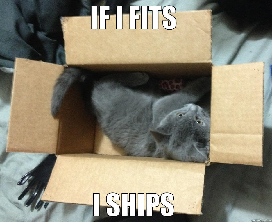 IF I FITS I SHIPS Misc