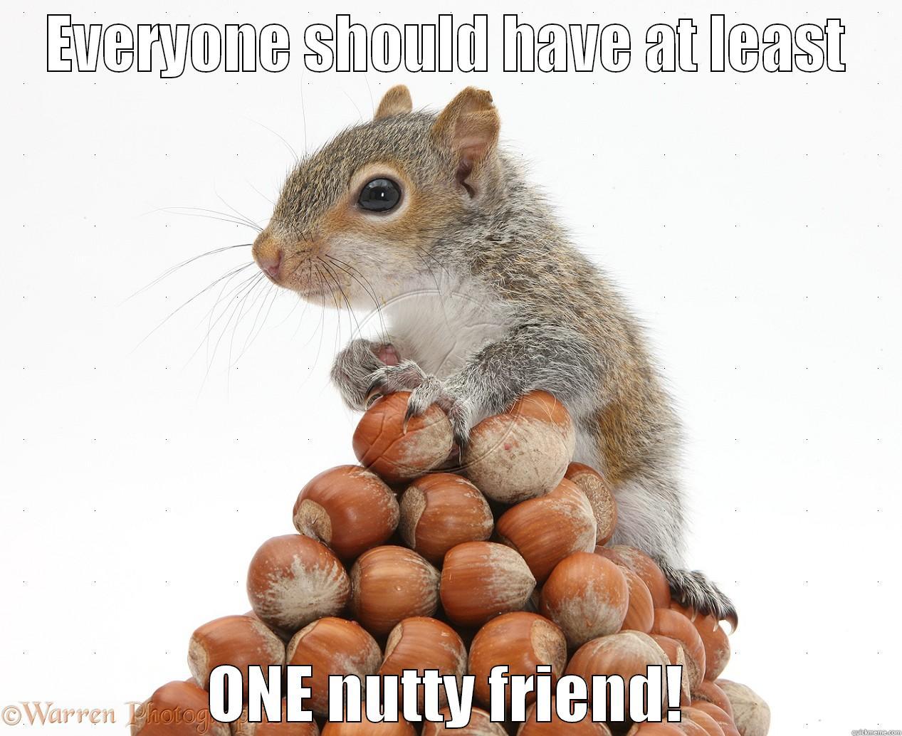 Nutty Friend - EVERYONE SHOULD HAVE AT LEAST ONE NUTTY FRIEND! Misc