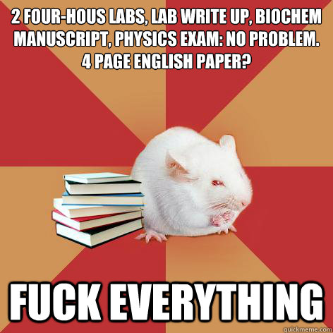 2 four-hous labs, lab write up, Biochem manuscript, physics exam: No problem. 
4 page English paper? FUCK EVERYTHING  Science Major Mouse