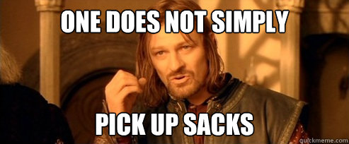 One does not simply Pick up sacks  One Does Not Simply