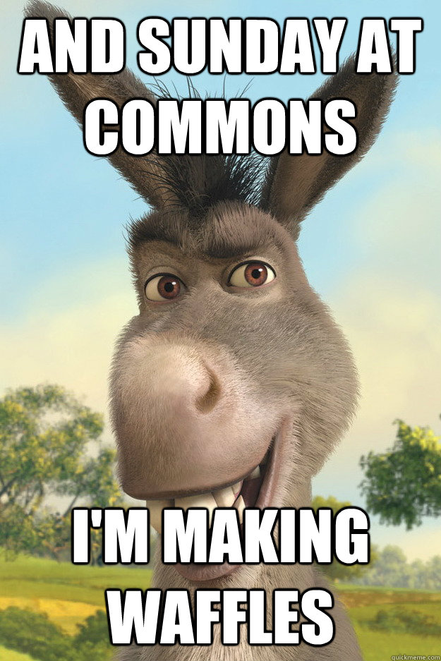 And Sunday at commons I'm making waffles - And Sunday at commons I'm making waffles  Talking donkey