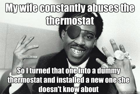 My wife constantly abuses the thermostat So I turned that one into a dummy thermostat and installed a new one she doesn't know about - My wife constantly abuses the thermostat So I turned that one into a dummy thermostat and installed a new one she doesn't know about  Misc