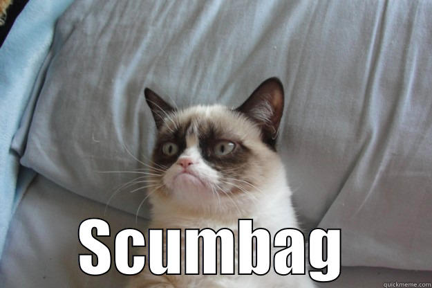  SCUMBAG Grumpy Cat