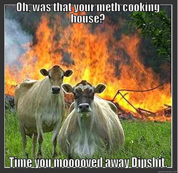 Kick ass Cowz - OH, WAS THAT YOUR METH COOKING HOUSE? TIME YOU MOOOOVED AWAY DIPSHIT. Evil cows