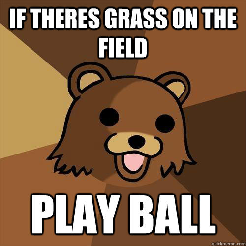 IF THERES GRASS ON THE FIELD PLAY BALL  Pedobear