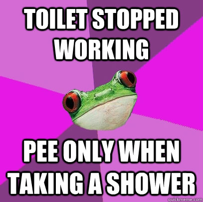 Toilet Stopped Working Pee only when taking a shower - Toilet Stopped Working Pee only when taking a shower  Foul Bachelorette Frog